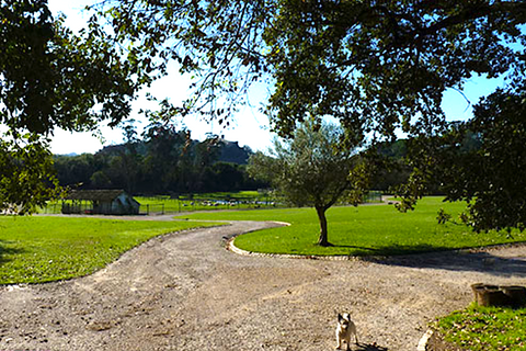 Farm i Obidos, Leiria, Obidos - € 4.500.000 | Ref: MM002410 - foto 30